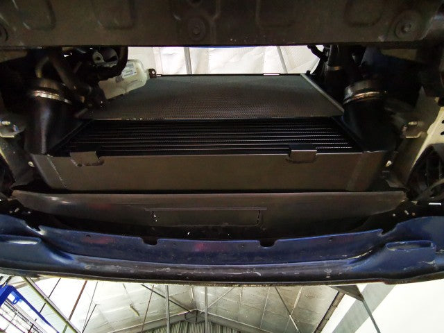 BMW 大容量 インタークーラー 114i 116i 118i 120i 125i M135i 218i 220i 228i M235i M2 316i 320i 328i 335i 420i 428i F20 F21 F22 F23 F30 F31 F32 F33 F34 F36 N13 N20 N26 N55